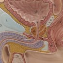 기적한의원 이미지