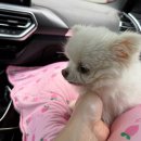 천은농장 | 아줌마 과일 잘 먹지