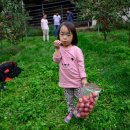 보은농장 이미지