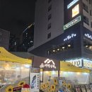 태백수족관 | 수원 무늬오징어 맛집 '태백상회' 솔직후기