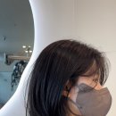 샤기존헤어