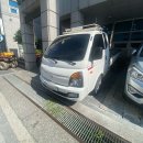 케이마취통증의학과의원 티스토리