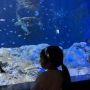 씽씽카랜드 이미지