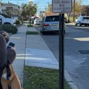 🇺🇸🗽NewYork 2일차ㅣ센트럴파크 / 타임스퀘어 / 탑오브더락 / 레고,디즈니,M&amp;M / 버드랜드 재즈바