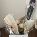 플레르앤드 이미지