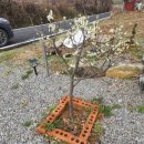 대지농장 이미지