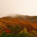 구룡령 삼봉약수 가는 길 단풍(소니 a7r2 촬영) 이미지