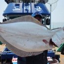 해성낚시터 이미지