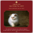 세계가 사랑한 음료의 인문학 | 서울 전시회 캣츠 앤 독스The Great Civilization 얼리버드 할인 @ 여의도 벙커