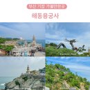 부산 기장 가볼만한곳 해동용궁사 부산 핫플레이스