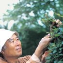 생각하는정원 이미지