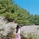 호텔초콜릿성남 이미지