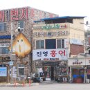 영산강변 유채꽃 밭 23.3.30일 이미지