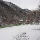 명상원