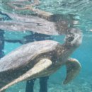 해상농장 | 보홀 해상투어, 육지투어 정리, 현지업체 가격, 입장료