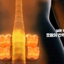누가페 인덕원점 네이버블로그