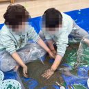 성북병설유치원 이미지