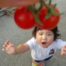 상오농장 | [이사후기]보령시민되기/저희이사왔어요.