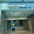 되야지 | 인천공항-싱가포르 창이 공항/아시아나 OZ0751,OZ0752 비즈니스 이용 후기