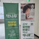 책나무분당수내독서논술학원