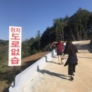 마르자하우스 이미지