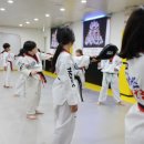 용인대 안산 타이거즈 태권도장 이미지