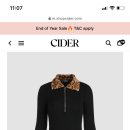 데일리콩스