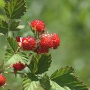 두메산골 이미지