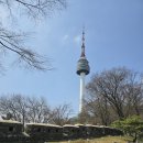 산양타워 | 서울 남산N타워 와인페어 후기