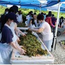 금천농장 2 이미지