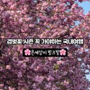 완산-124 이미지