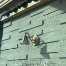 레이지 스테이(LAZY STAY) 이미지