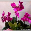 대구상동우체국 이미지