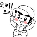 돌돔천국