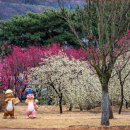 간전중앙로 이미지