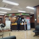 손범수달빛의원 이미지