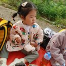 (뭉게구름)맛있게 먹은 점심도시락🍱 이미지