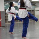 활기찬 태권도 이미지