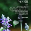 자연의선물 이미지