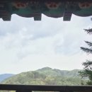 나귀를 타고서 나귀를 찾고, 눈 속에서 눈을 찾는 사람들. 이미지