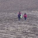 마산리목장 이미지