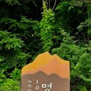 삼성식당 이미지