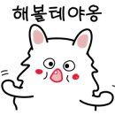 한일상사 네이버블로그
