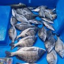 서정리경로당 이미지