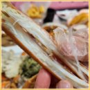 속초대게여왕 이미지