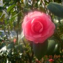 바람과 구름 이미지