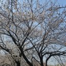 여의나루역 3번 출구 횡단보도 이미지