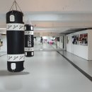 구미복싱체육관 이미지