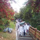 하논의 아침 이미지