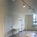 펫1번가미용 이미지